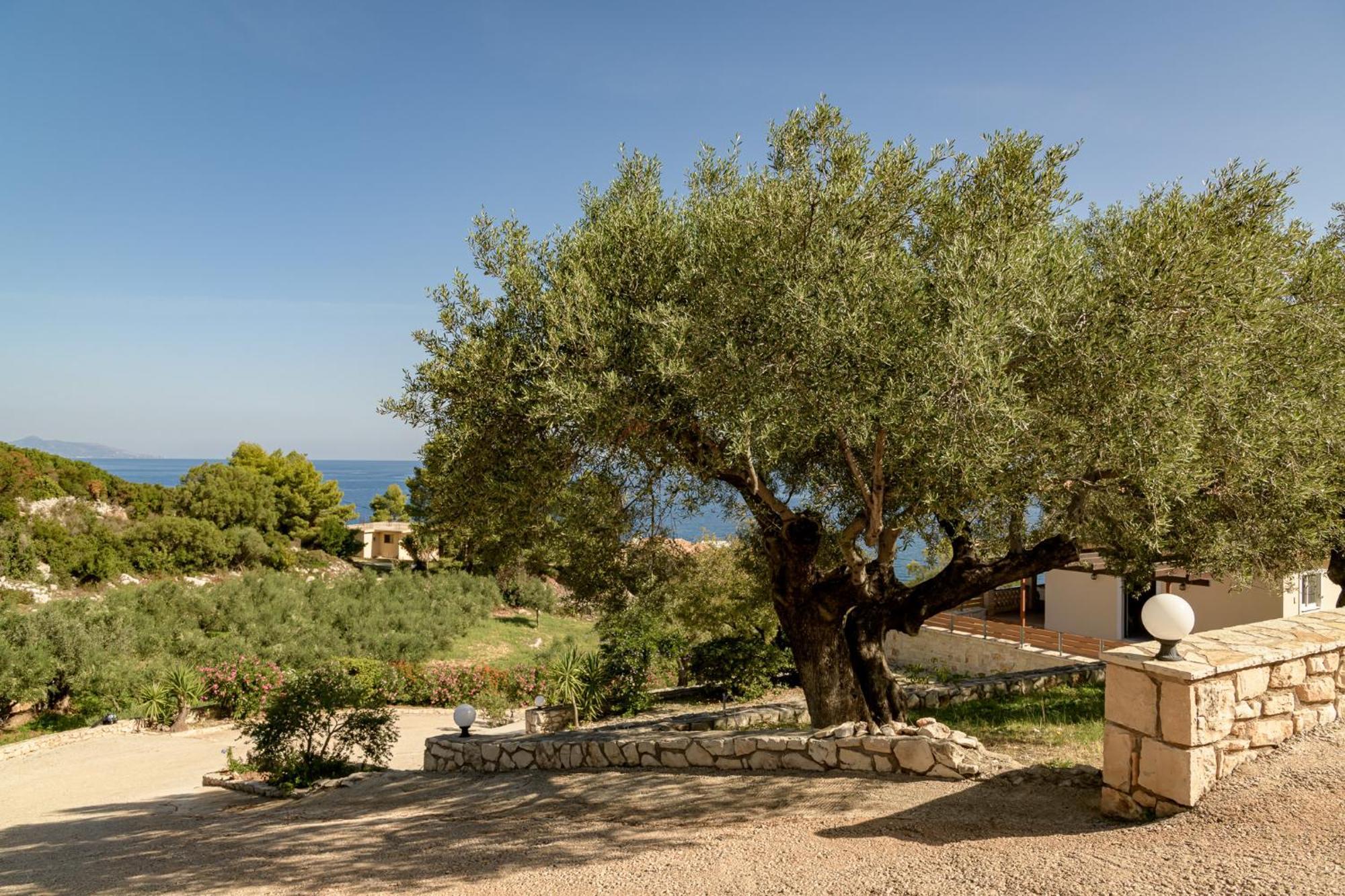 Villa Mare Studios Skinária Esterno foto